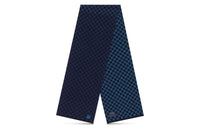 LOUIS VUITTON PETIT DAMIER GRADIENT Wool Knit Scarf Men's Blue