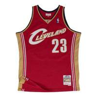 Mitchell & Ness NBA Cleveland Cavaliers 2003/04 Swingman Jersey 'LeBron James Wine' 200472828