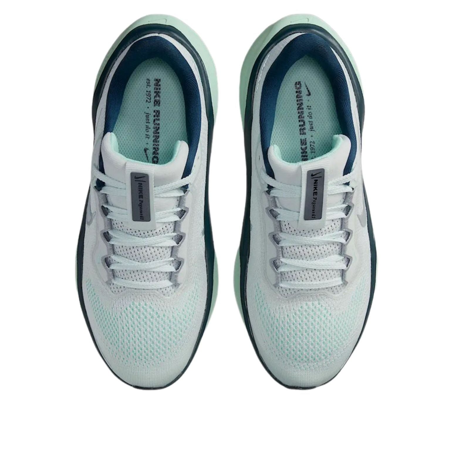 (GS) Nike Air Zoom Pegasus 41 'Ghost Aqua Mint Foam' FN5041-404