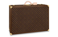 LOUIS VUITTON Alzer Canvas With Leather Trim Handheld Hard Case Women's Brown