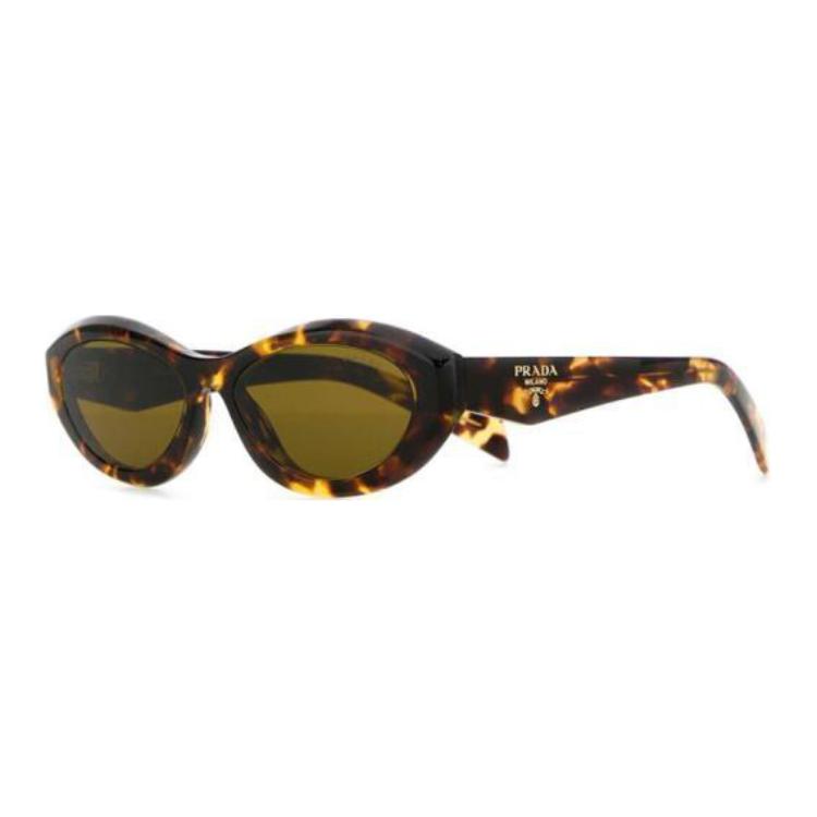 PRADA Acetate Oval Sunglasses Unisex Tortoiseshell