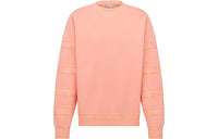 DIOR Sweatshirts Men Peach Pink