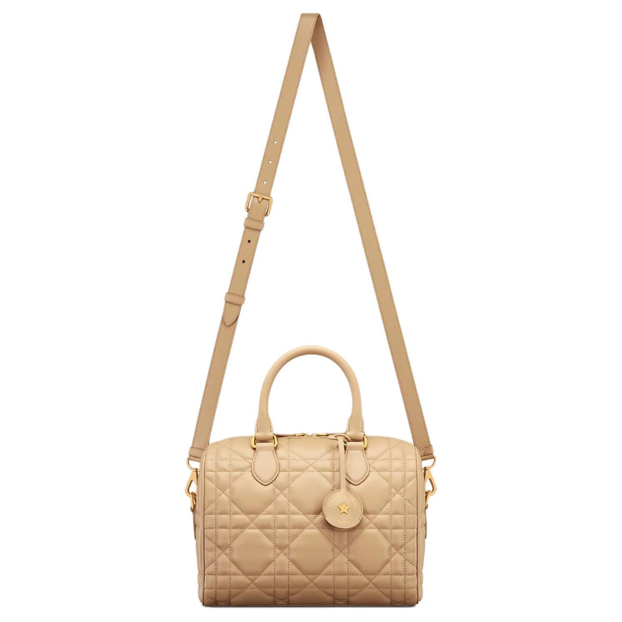 DIOR Calfskin Shoulder Bag Crossbody Bag Handbag Medium Size Women's Cookie