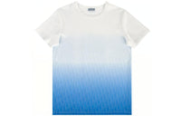 DIOR Degrade Oblique Cotton T Shirt