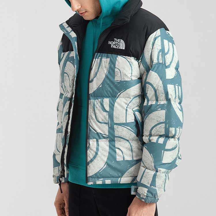 THE NORTH FACE 1996 Retro Nuptse 700 NF0A5IX4-537