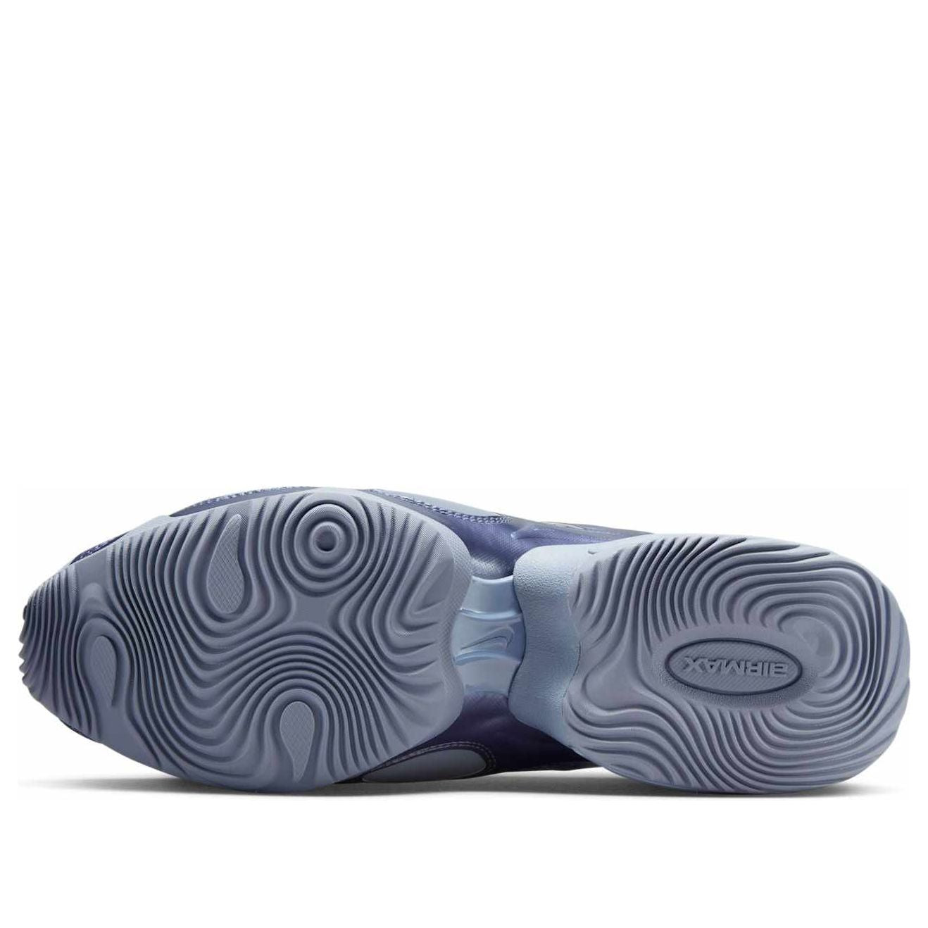 (WMNS) Nike Air Max Muse 'Ashen Slate' FV1920-400