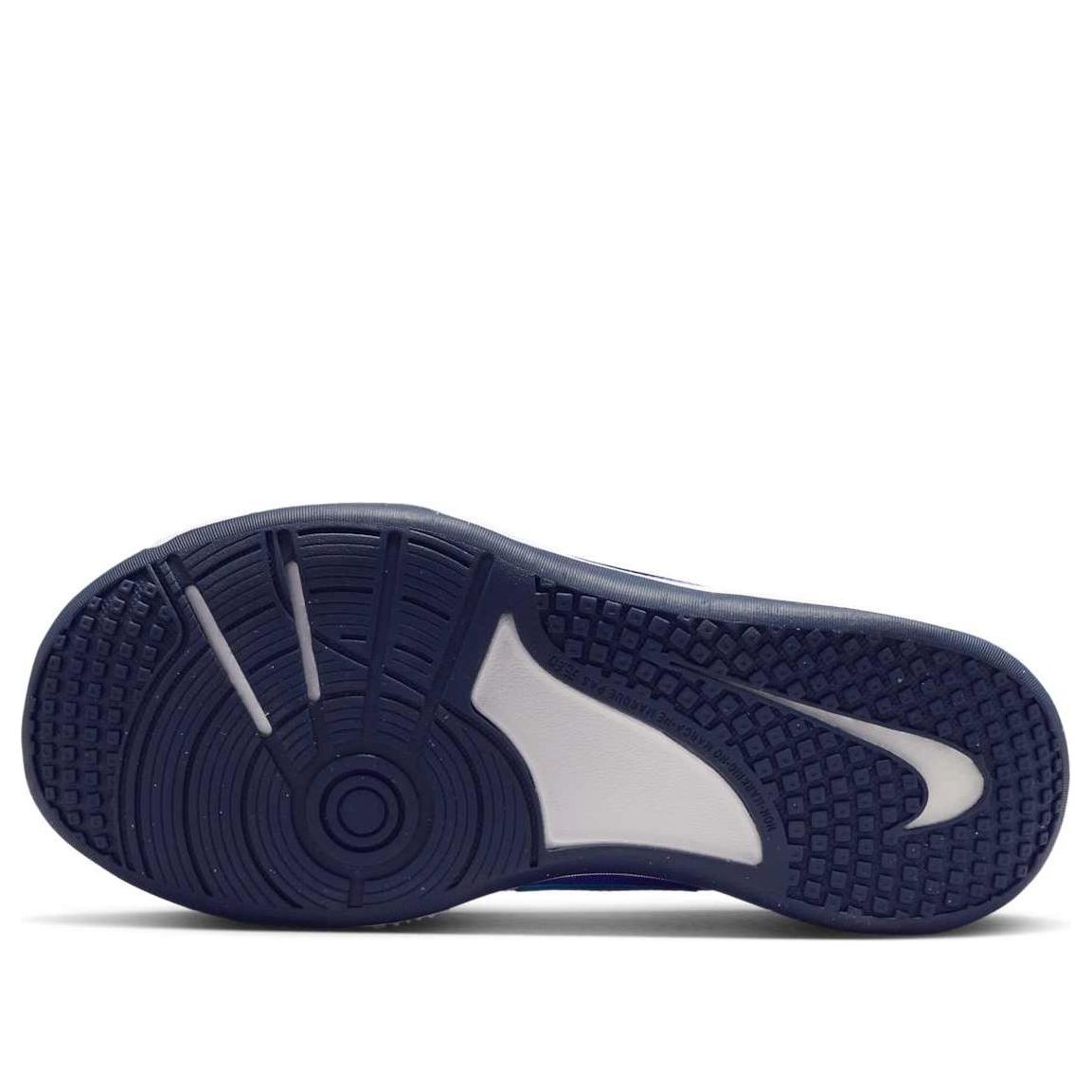 (GS) Nike Omni Multi-Court GS 'Persian Violet' DM9027-500