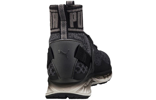 PUMA Ignite evoKnit 'Asphalt Quiet Shade' 189895-01