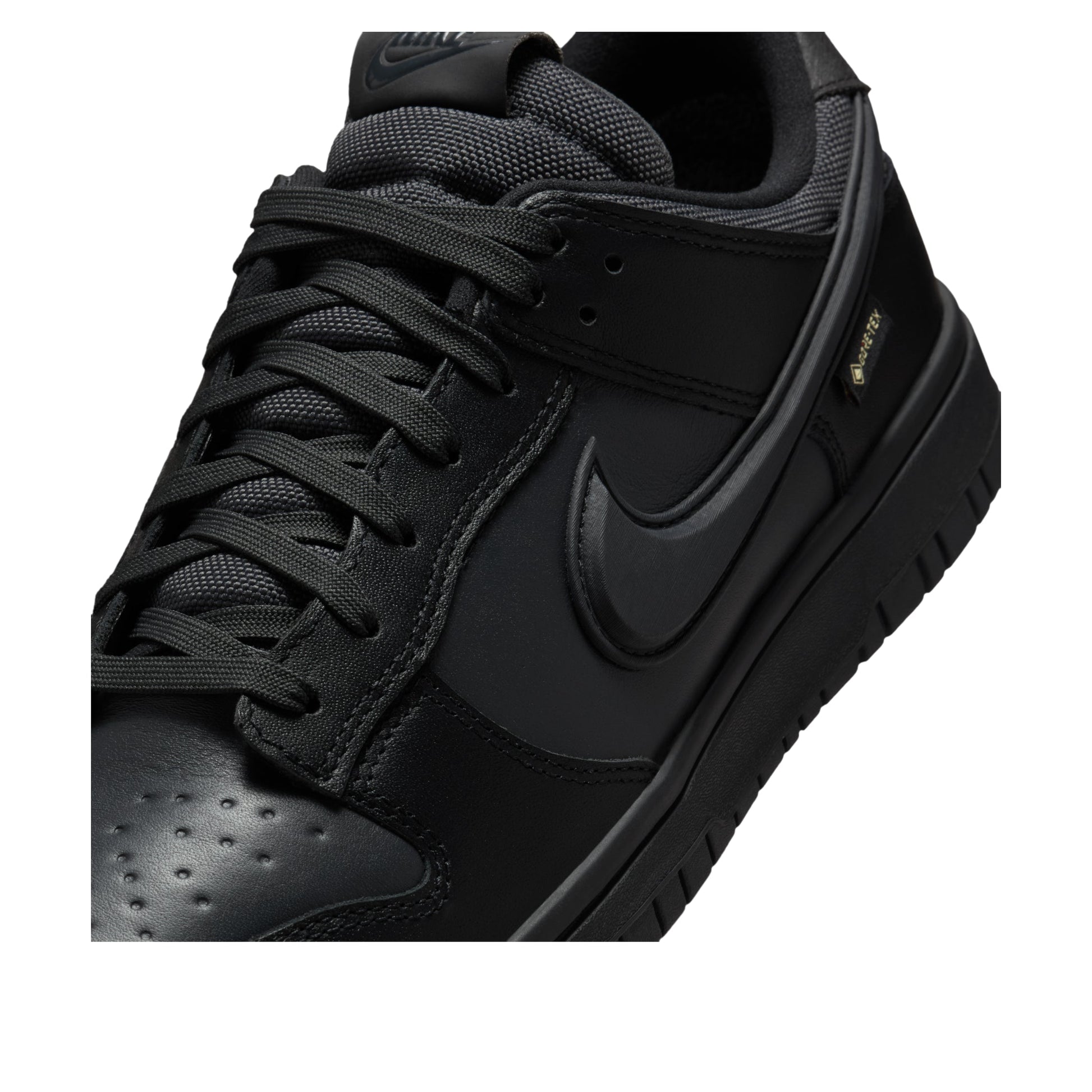 Nike Dunk Low GTX 'Black' HQ2053-001