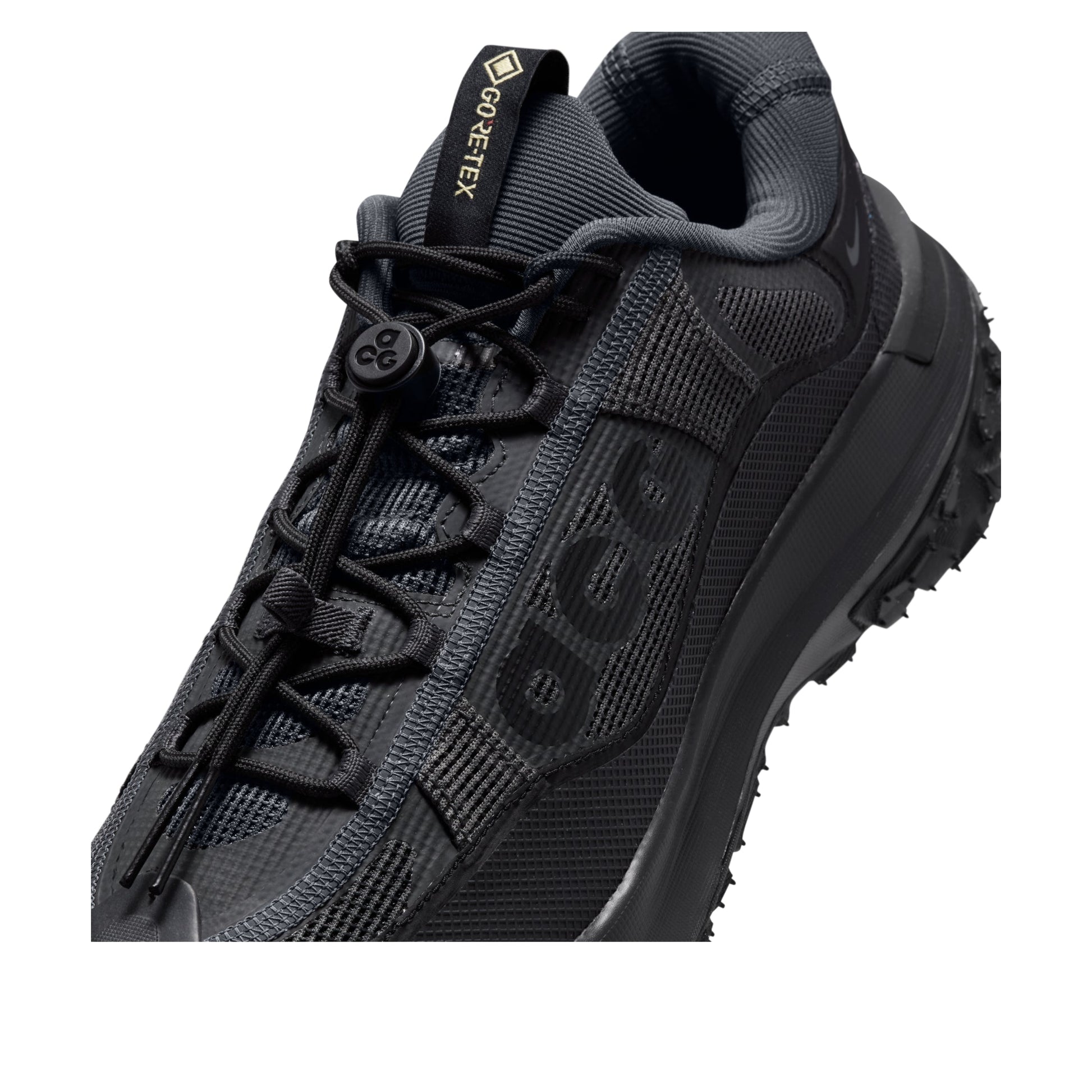 Nike ACG Mountain Fly 2 Low Gore-Tex 'Dark Smoke Grey' HF6245-001