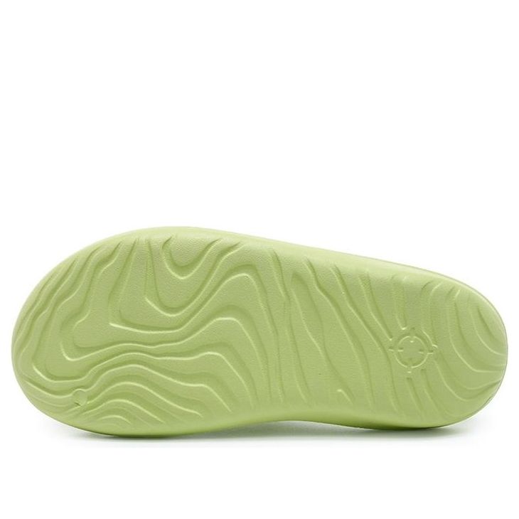 Rigorer Mini Shark 'Green' Z326160203-5