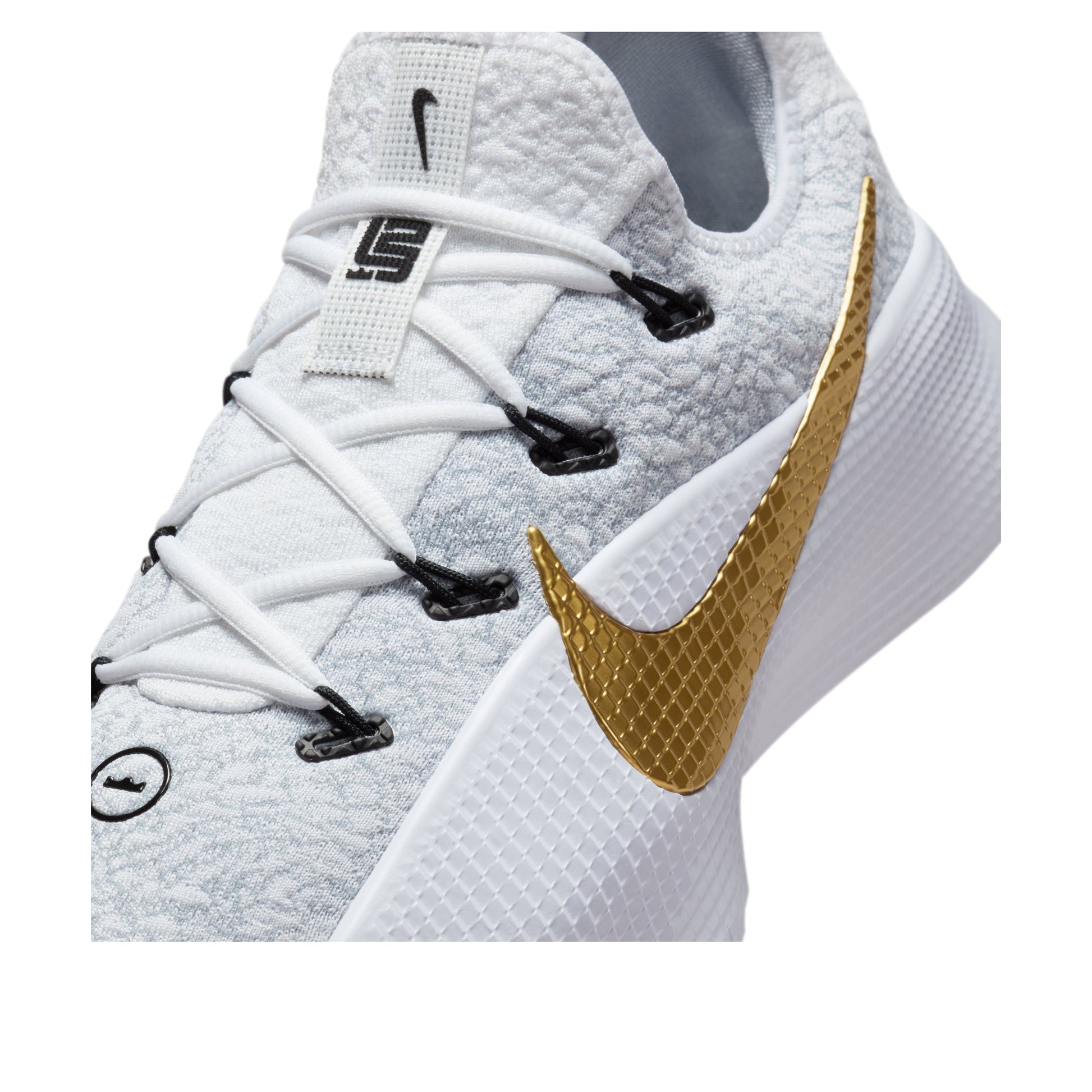 Nike LeBron TR 1 'Wolf Grey Metallic Gold' FJ6151-006