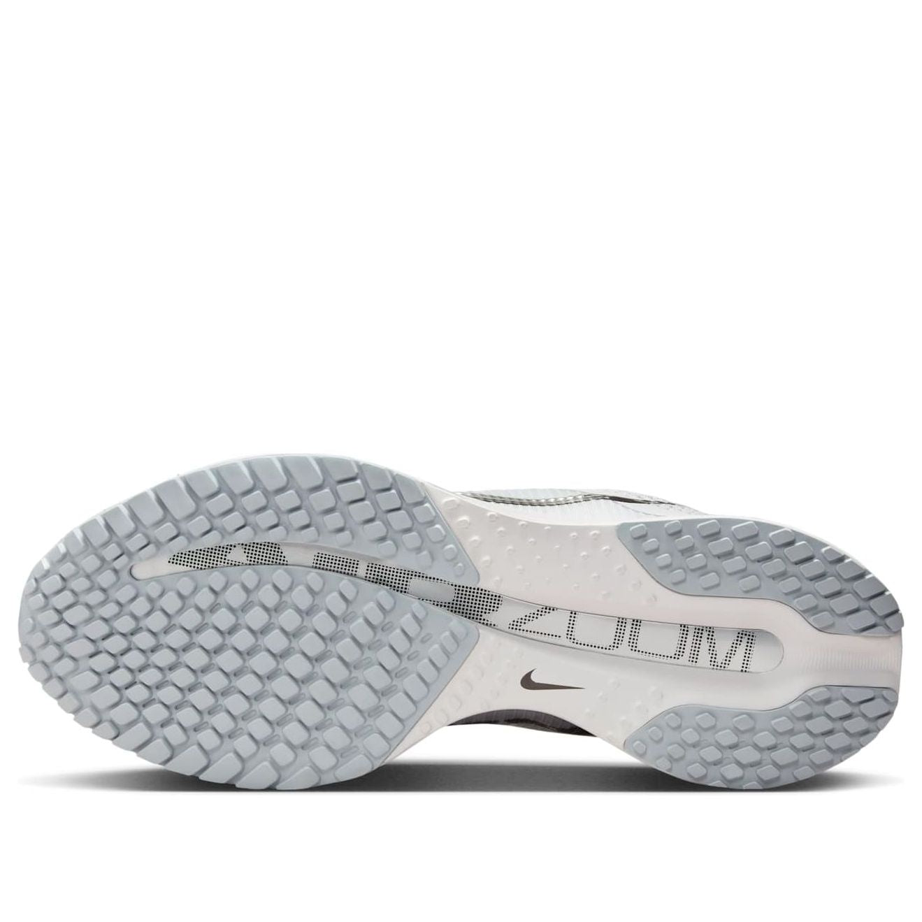 (WMNS) Nike Air Zoom Pegasus Premium 'Metallic Silver Swoosh' HQ2593-005