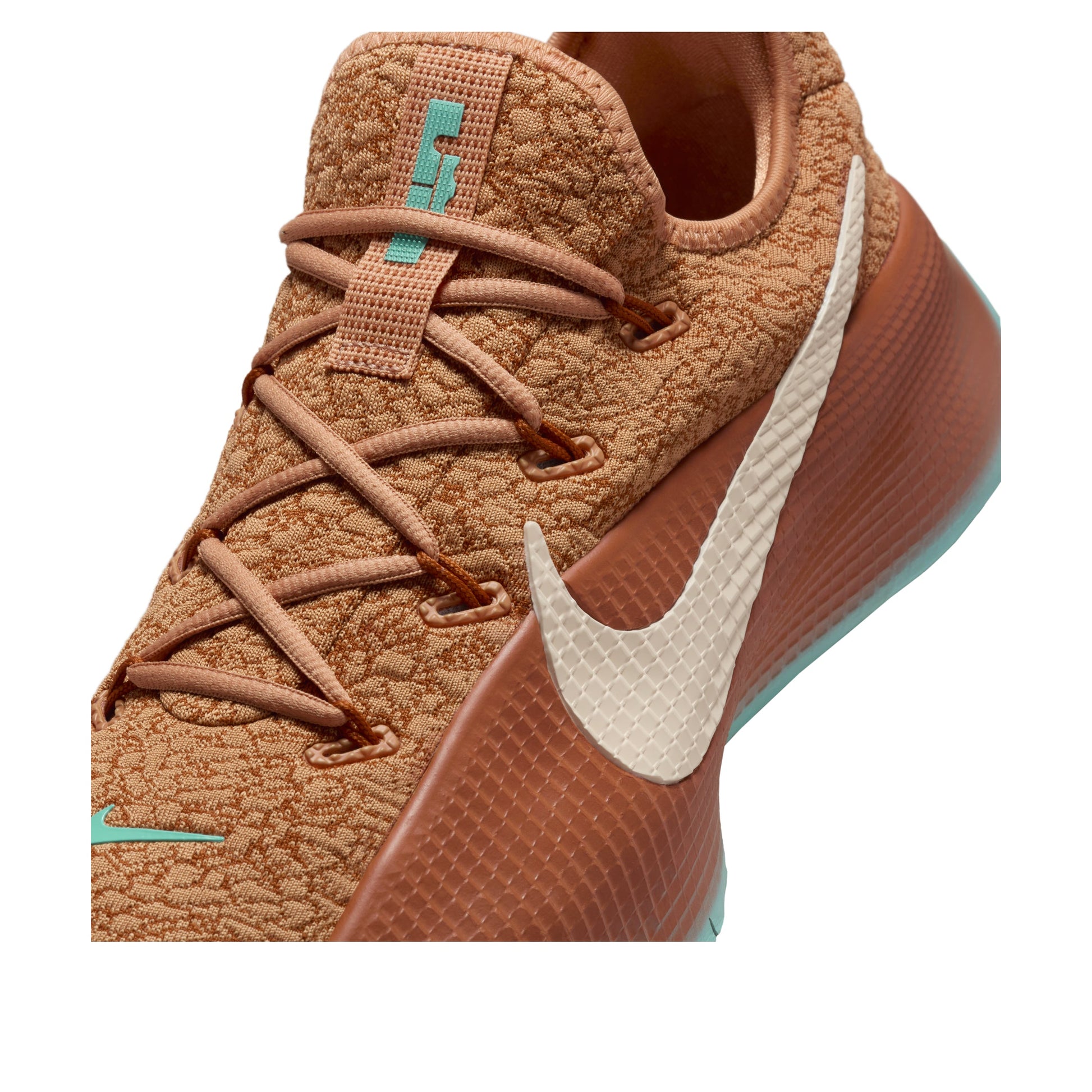 Nike LeBron TR 1 'Amber Brown Green Frost' FJ6151-200