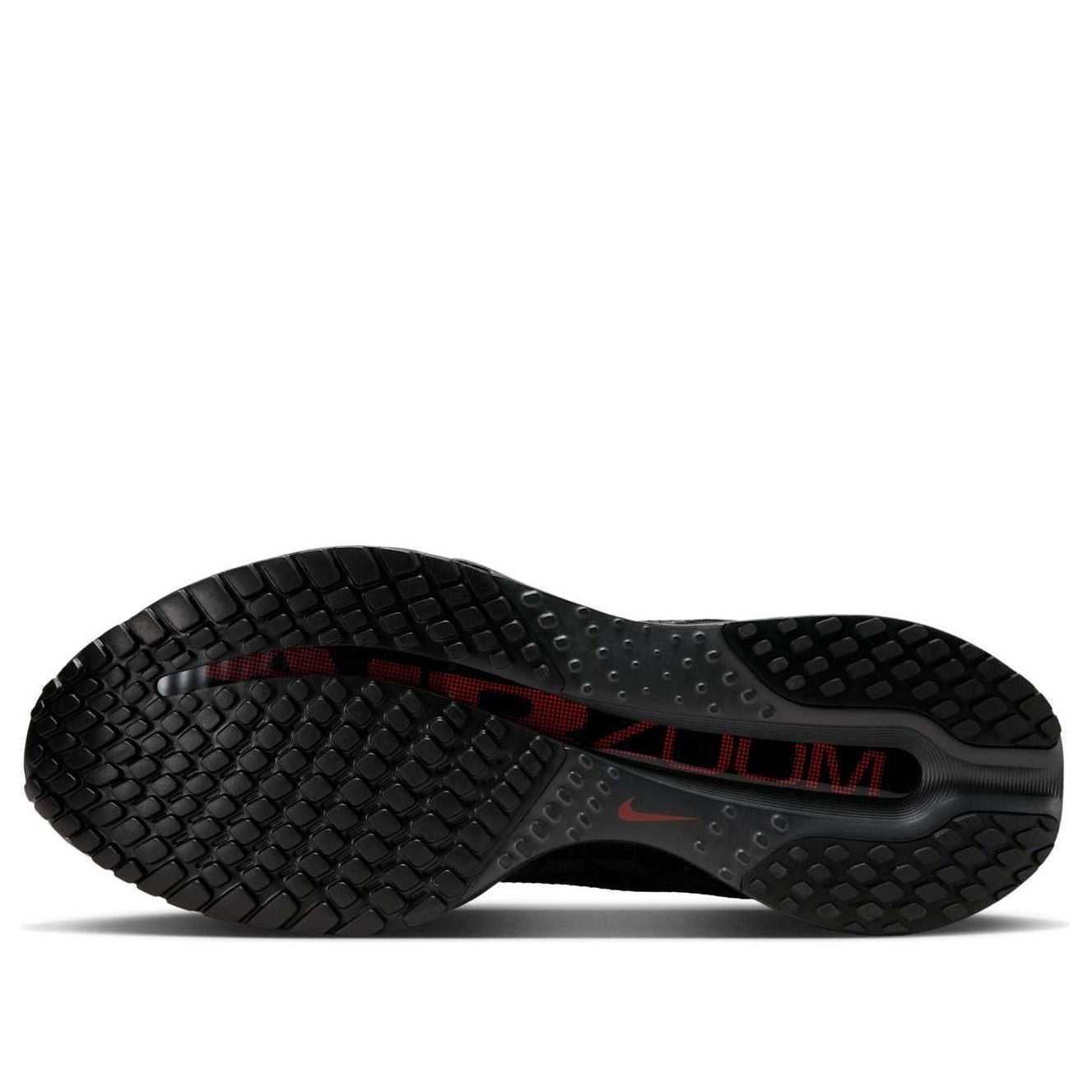 Nike Pegasus Premium 'Anthracite Black' HQ2592-011