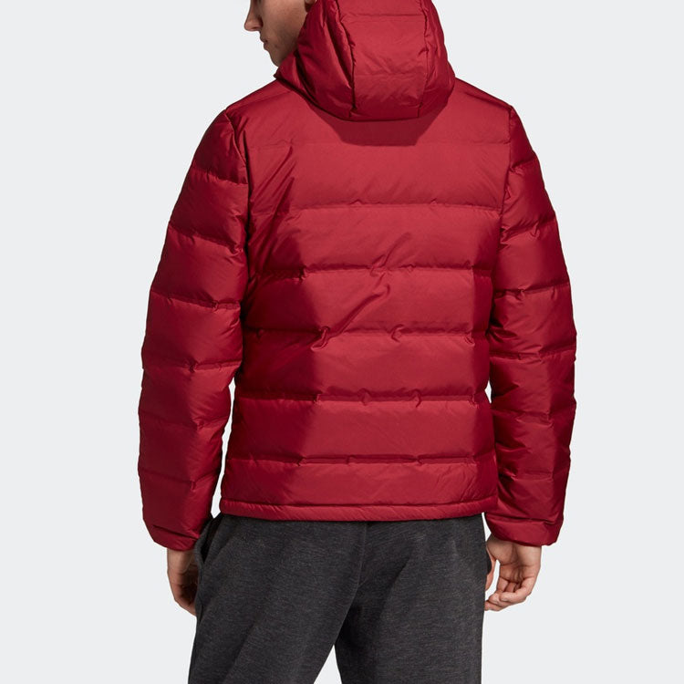 adidas Helionic Ho Jkt Outdoor Slim Fit hooded down Jacket Wine Red DZ1426