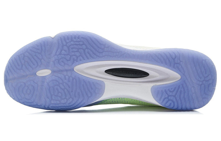 Li-Ning Badminton Shoes AYTP019-4