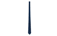 LOUIS VUITTON Silk Ties Men's Blue