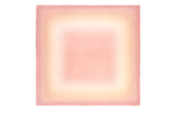 LOUIS VUITTON Shawls Women's Pink