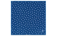 LOUIS VUITTON Silk Scarves Unisex Blue
