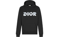 DIOR Arsham Logo Hoodie