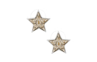 CHANEL Earrings Women's Silver