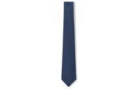 LOUIS VUITTON Mulberry Silk Ties Unisex Blue