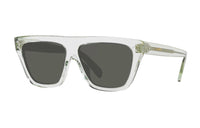 CELINE Acetate Butterfly Sunglasses Men's Transparent