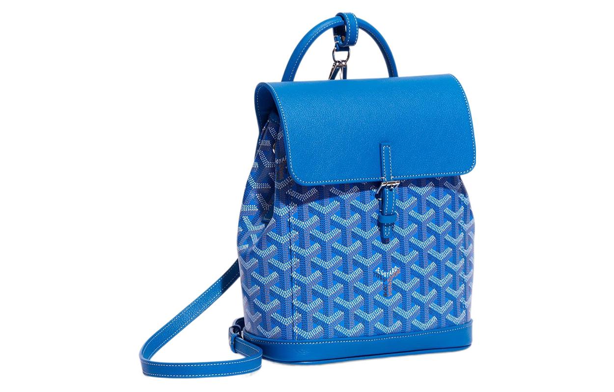 GOYARD Alpin Canvas With Leather Backpack Mini Unisex Blue