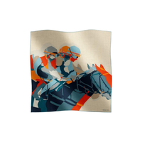 HERMES Cashmere Silk Scarves Men's Multicolor