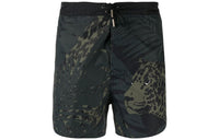 SAINT LAURENT Casual Shorts Men's Green