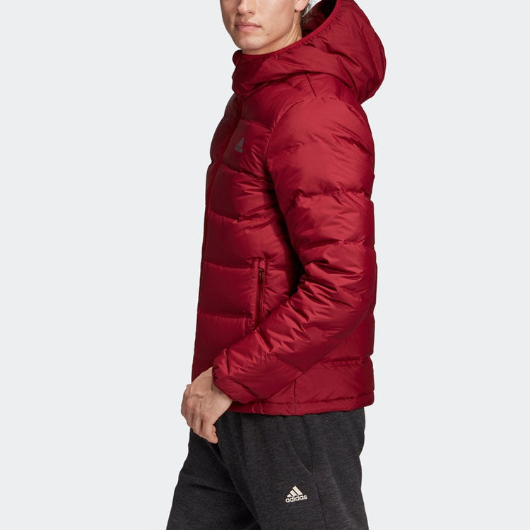adidas Helionic Ho Jkt Outdoor Slim Fit hooded down Jacket Wine Red DZ1426