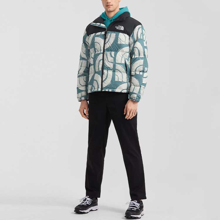 THE NORTH FACE 1996 Retro Nuptse 700 NF0A5IX4-537
