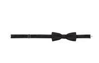 LOUIS VUITTON Monogram Gold Bowtie