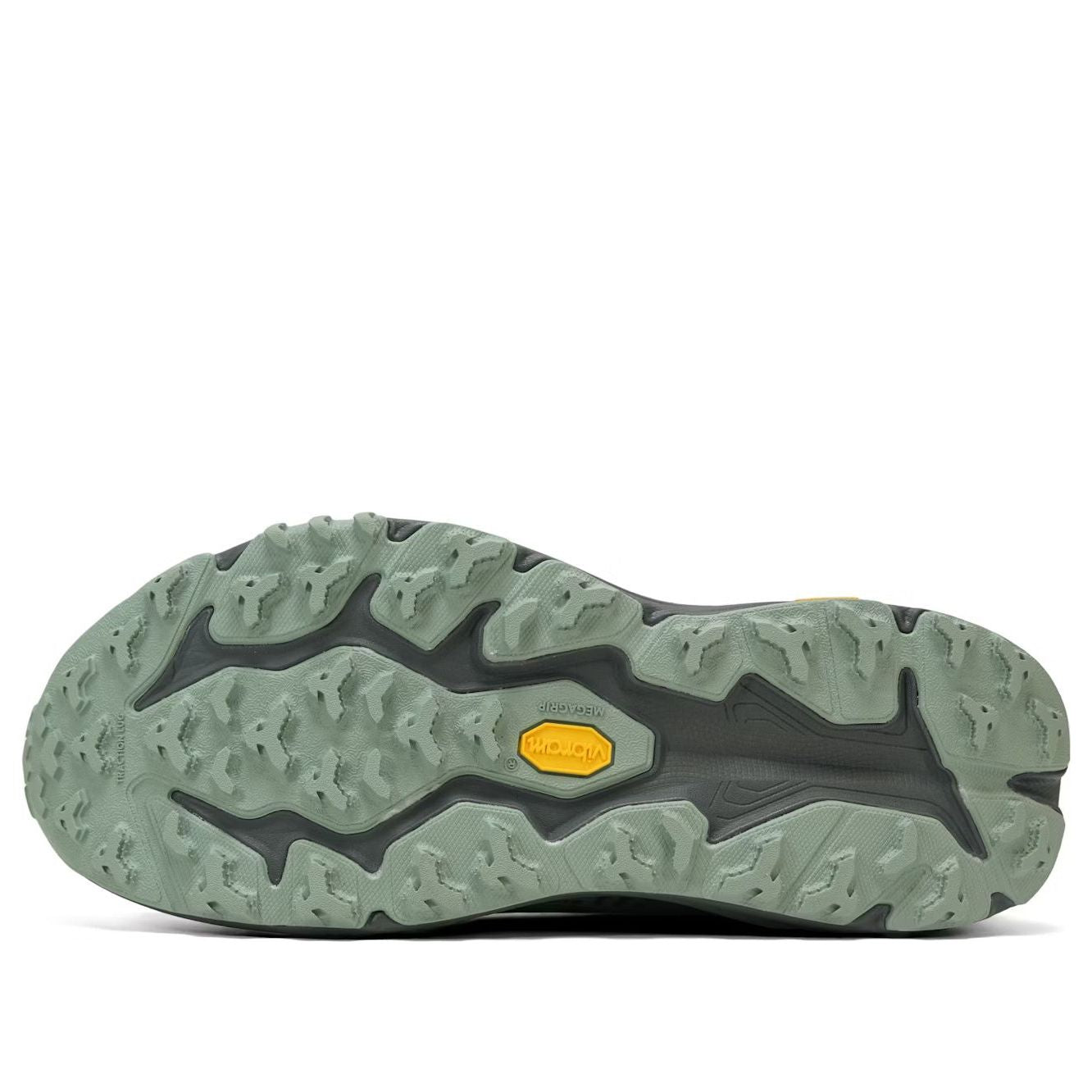 HOKA ONE ONE Speedgoat 6 GTX 'Slate Aloe Vera' 1155150-STLV