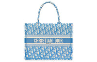 DIOR BookTote Handbag