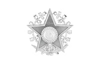 DIOR Bonne Etoile Brooches Unisex