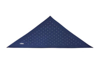 Loro Piana Silk Scarves Women's Marine Blue