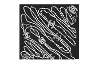 CHANEL Silk Scarves Women's Black