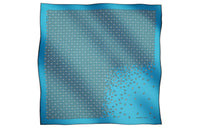 HERMES Silk Scarves Men's Sky Blue