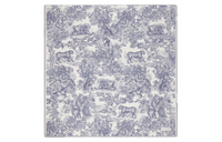 DIOR Knit Scarves Women's Gray/Blue