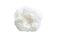 CHANEL Brooches Women's