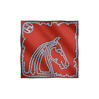 HERMES Silk Silk Scarves Men's Red