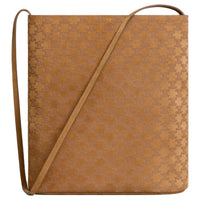 CELINE Triomphe Calfskin Bucket Bags Shoulder Bags Men's Brown