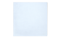 LOUIS VUITTON Shawls Women's Blue