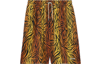 CELINE SS22 Casual Shorts Men's Tiger Yellow