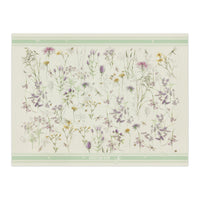 DIOR Cotton Shawls Women's Green