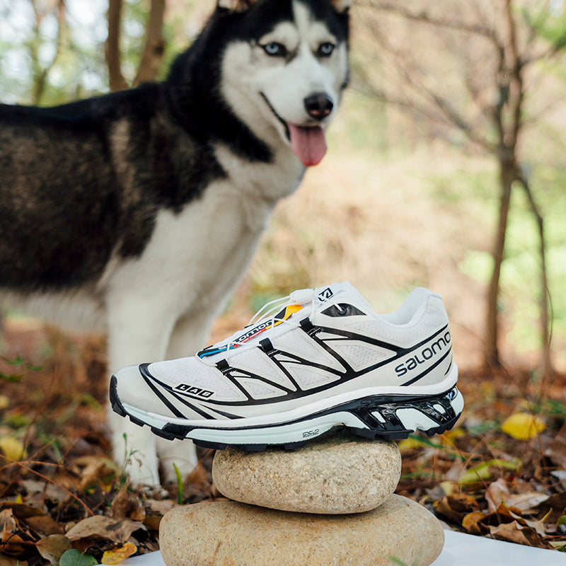 Salomon XT-6 'White Icy Morn' 413173