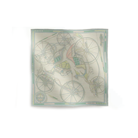 HERMES Silk Scarves Unisex Light Green