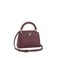 LOUIS VUITTON Ostrich Leather Capusin Handbag Mini Women's Purple